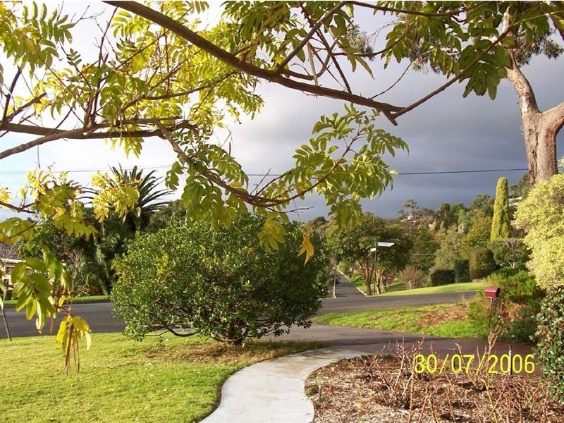 6A Clark Street, Wattle Park SA 5066