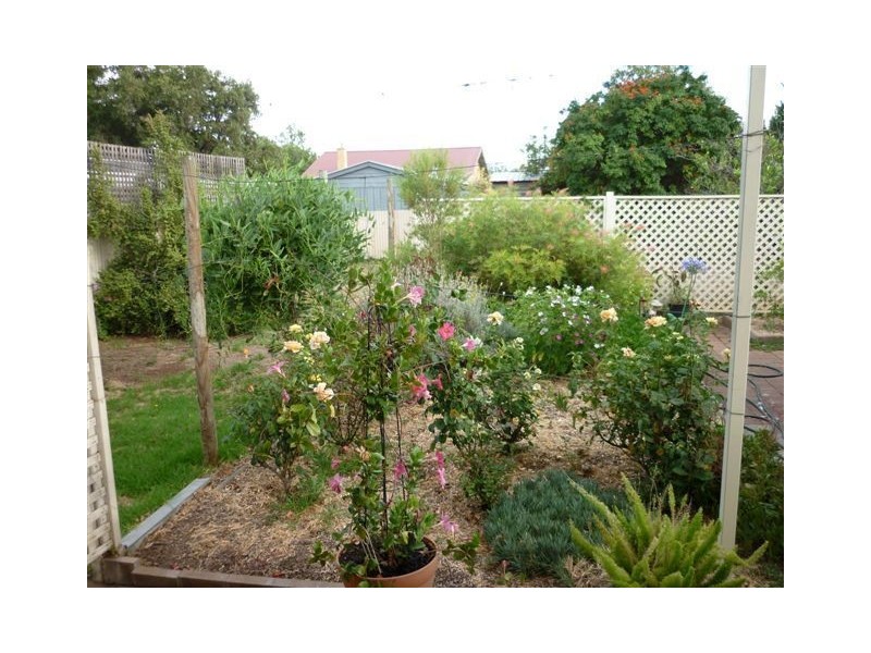 36 Kyeema Avenue, Cumberland Park SA 5041