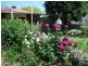 10 Byron Road, Black Forest SA 5035