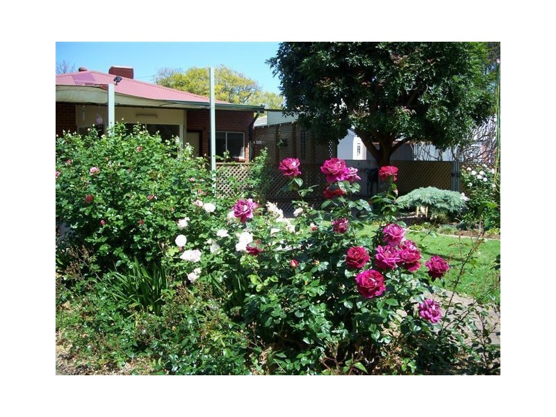 10 Byron Road, Black Forest SA 5035