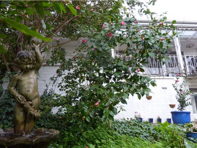 4 Christine Avenue, Belair SA 5052