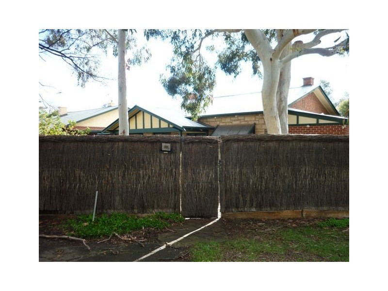 88 The Grove, Colonel Light Gardens SA 5041