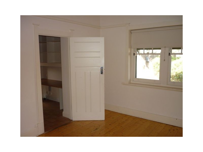 88 The Grove, Colonel Light Gardens SA 5041