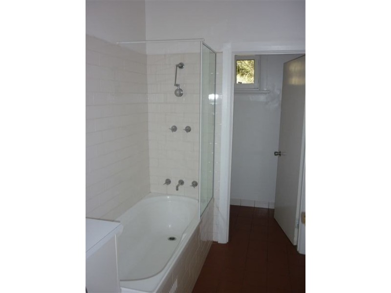 88 The Grove, Colonel Light Gardens SA 5041