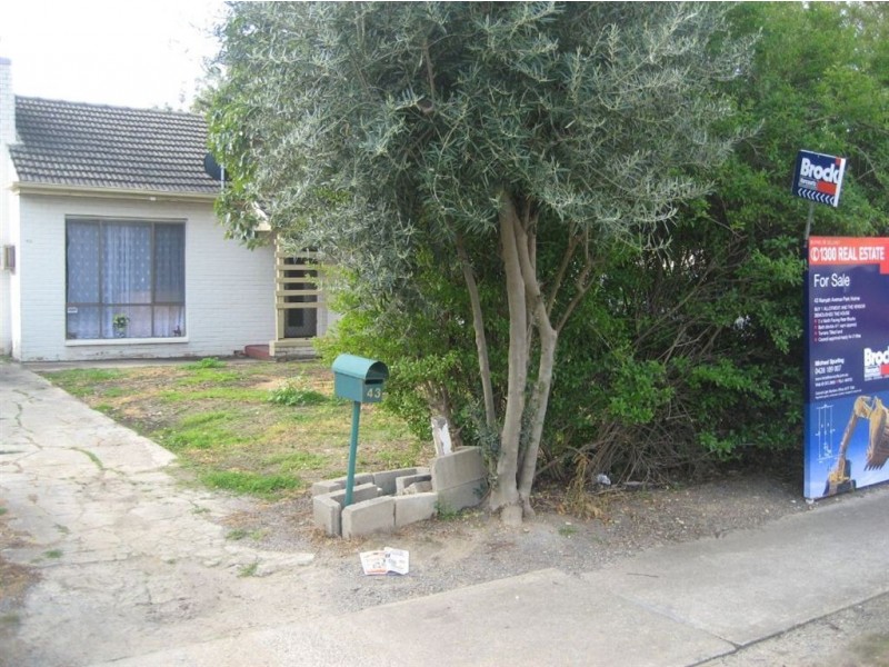 43 Nunyah Avenue, Park Holme SA 5043