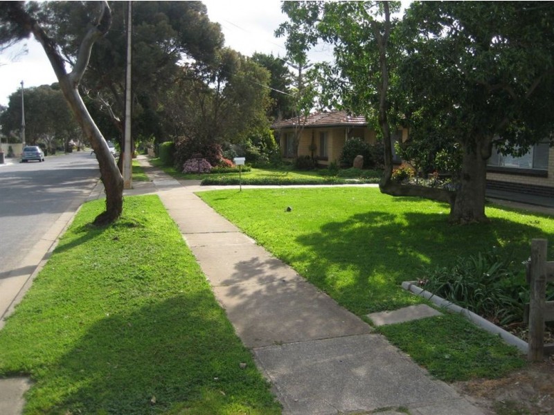 43 Nunyah Avenue, Park Holme SA 5043