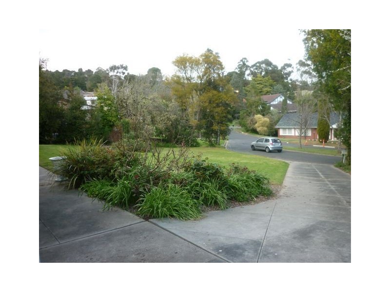 13 Coreega Avenue, Springfield SA 5062