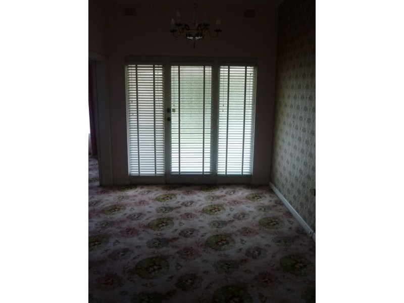 13 Coreega Avenue, Springfield SA 5062