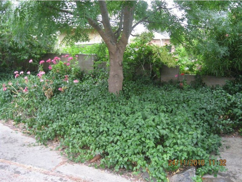 1/12 Lawn Street, Panorama SA 5041