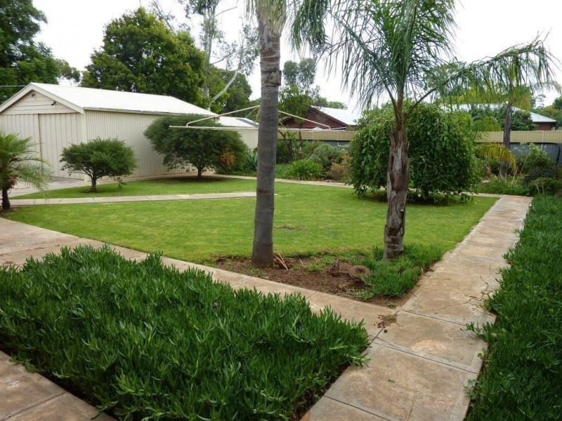 10 Irwin Avenue, Millswood SA 5034