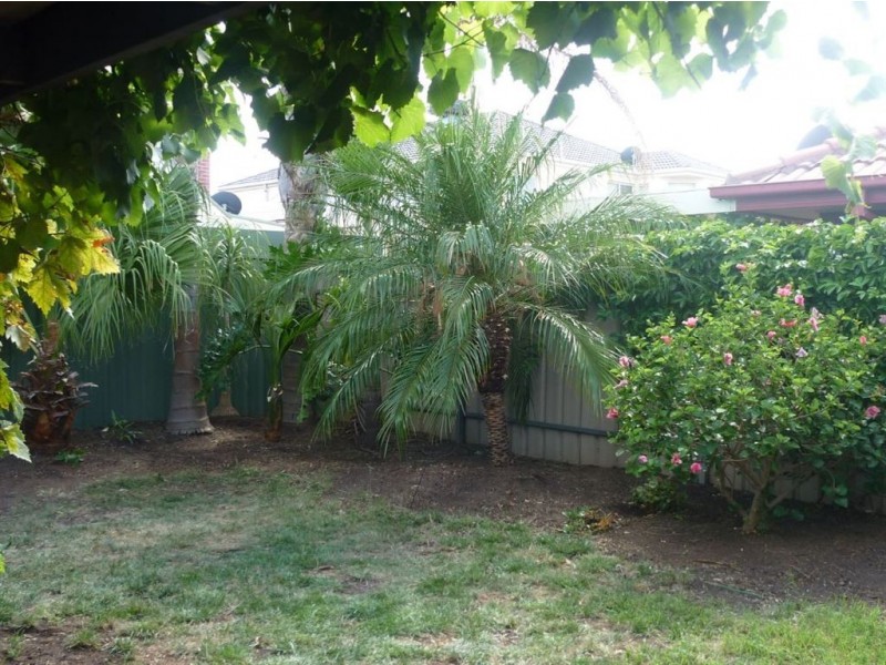 6 Young Street, Allenby Gardens SA 5009