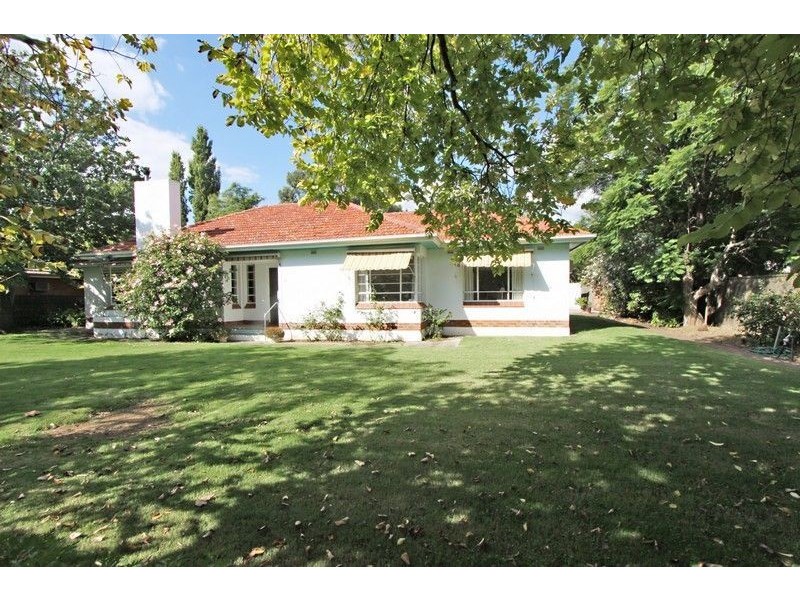 17 Denning Street, Hawthorn SA 5062