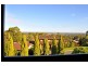 8 Beta Crescent, Panorama SA 5041