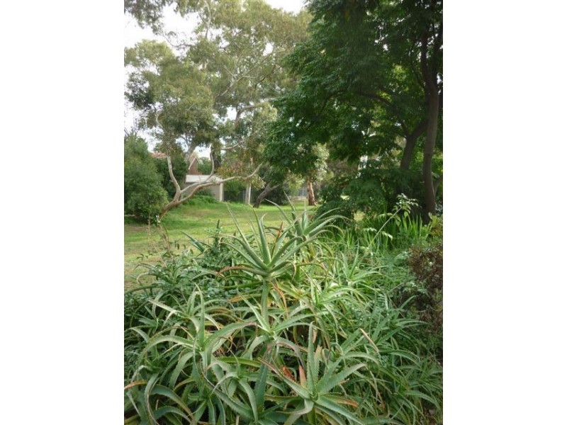 14 Belleview Avenue, Panorama SA 5041