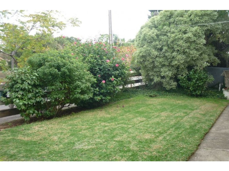 33 William Street, Clarence Park SA 5034