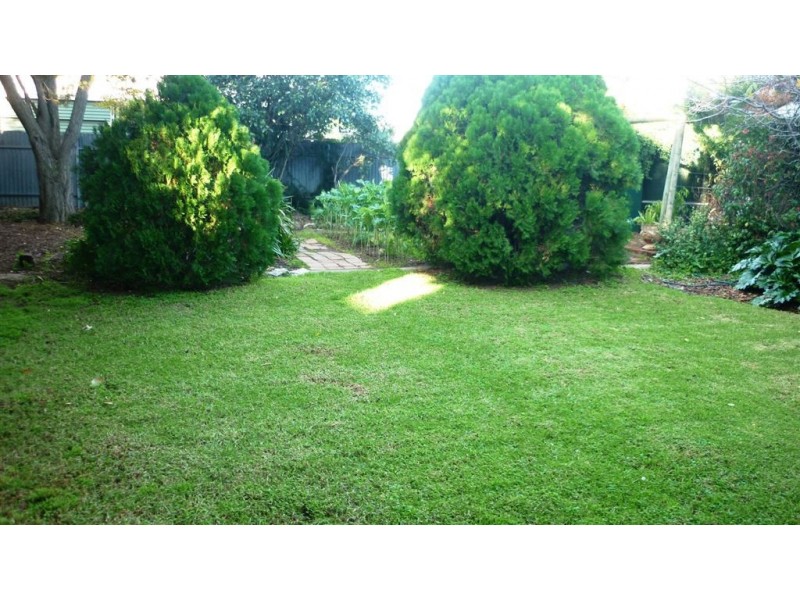 33 William Street, Clarence Park SA 5034