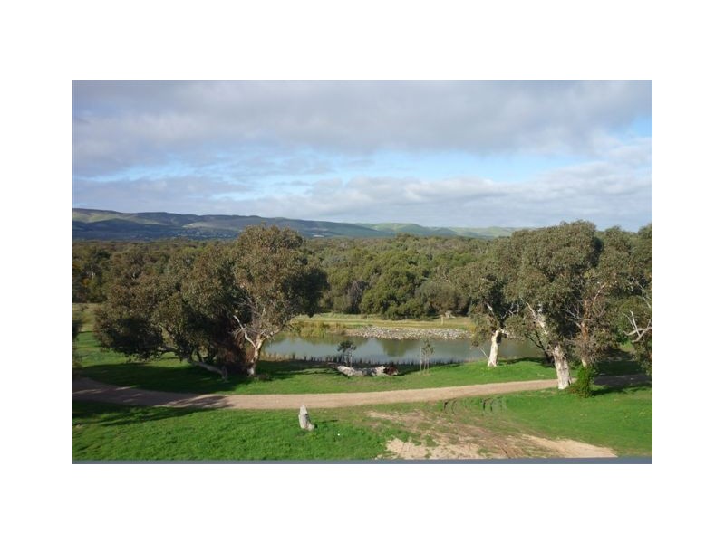 915 Lichen Walk, Aldinga Beach SA 5173