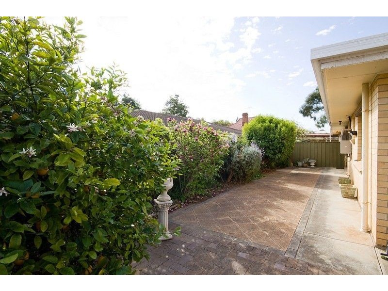 58 Frederick Street, Clarence Park SA 5034