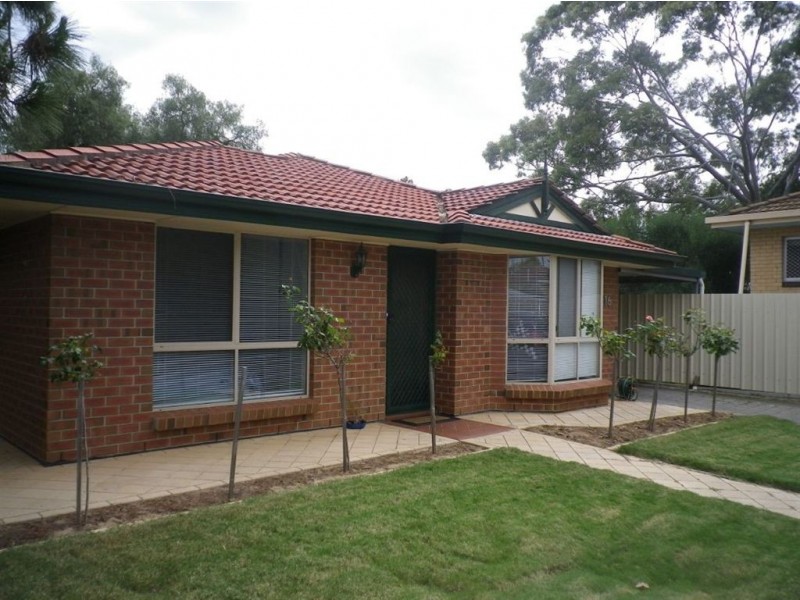 16 Hill Avenue, Cumberland Park SA 5041