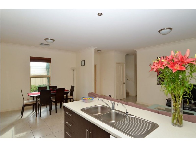 2/28 Basnett St, Kurralta Park SA 5037