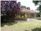 57 Celtic Avenue, Clovelly Park SA 5042