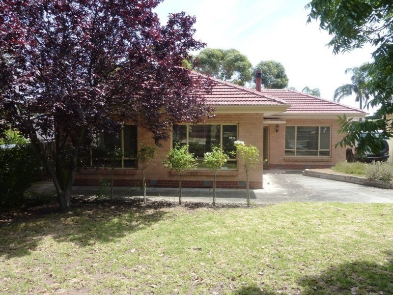 57 Celtic Avenue, Clovelly Park SA 5042