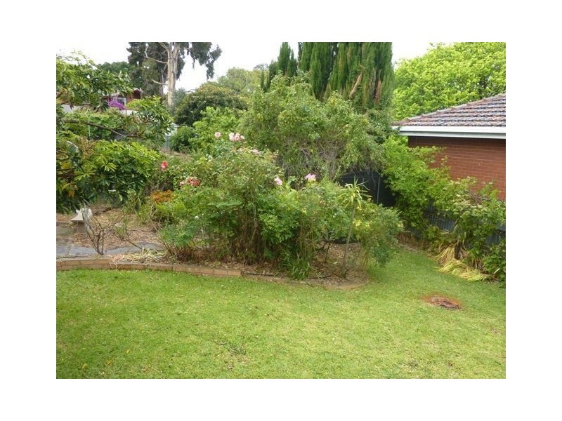 8 Panorama Drive, Panorama SA 5041