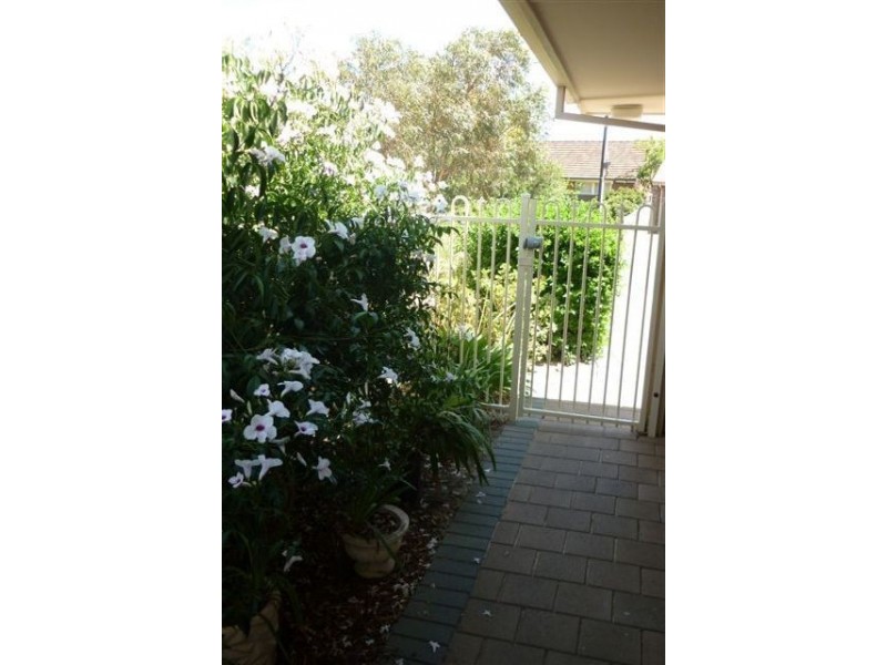 10 Sandison Ave, Park Holme SA 5043