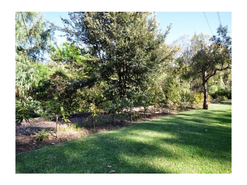 28 Myrtle Road, Hawthorndene SA 5051