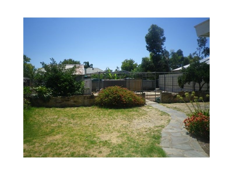 64 Crozier Ave, Daw Park SA 5041