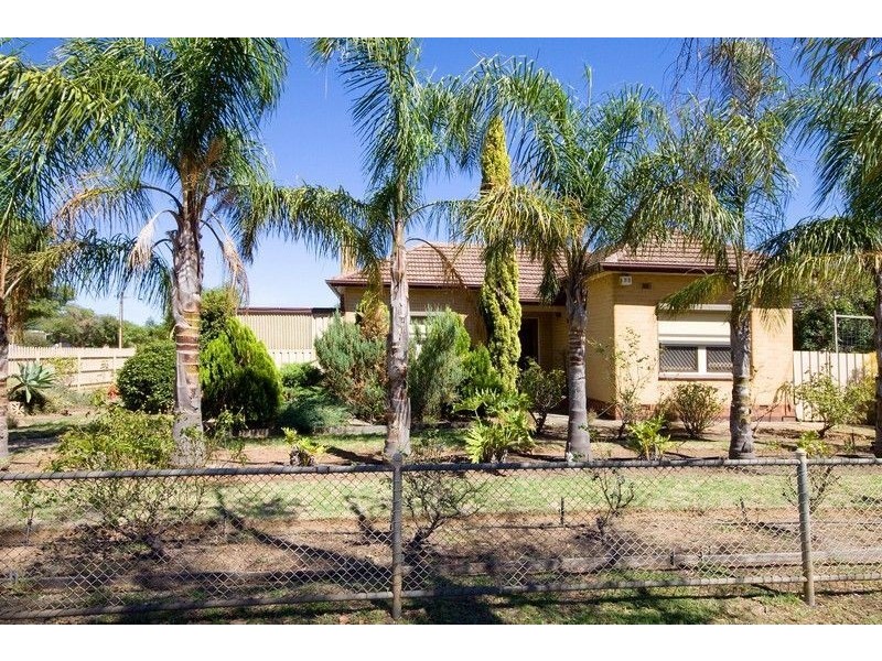 31 John Street, Ascot Park SA 5043