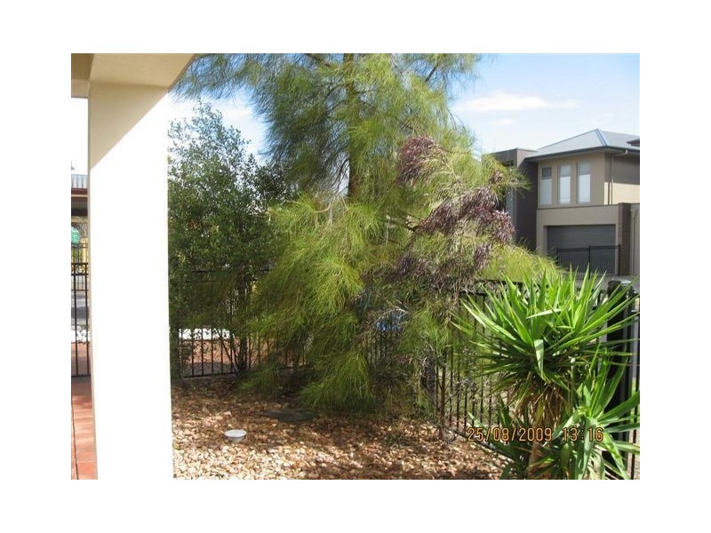 20 Shoalhaven Circuit, Mawson Lakes SA 5095