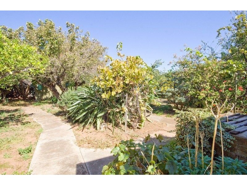 13 Penang Avenue, Colonel Light Gardens SA 5041