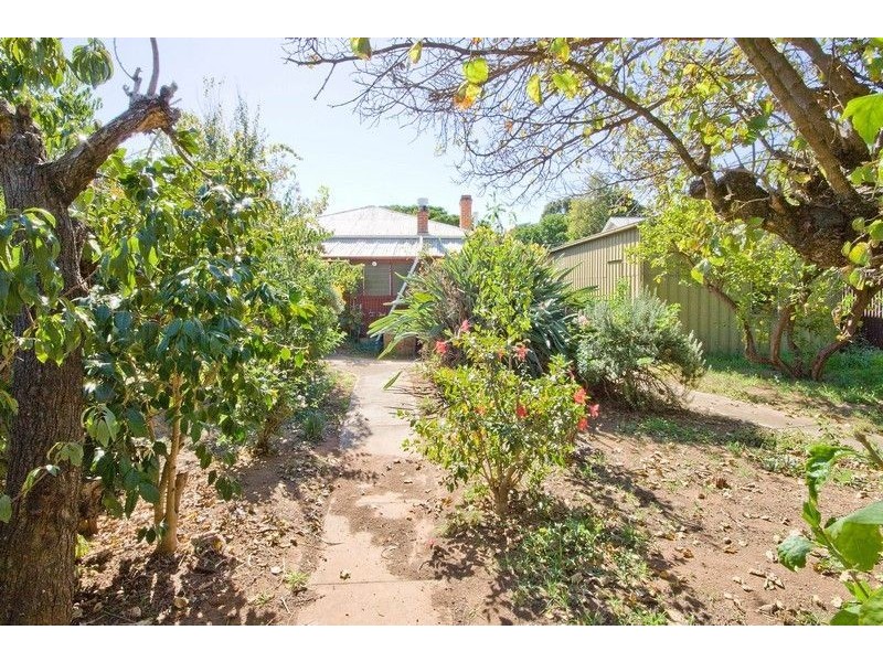 13 Penang Avenue, Colonel Light Gardens SA 5041