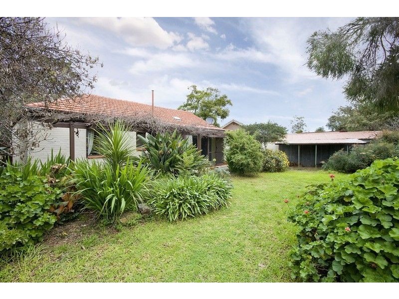 11 Day Avenue, Daw Park SA 5041