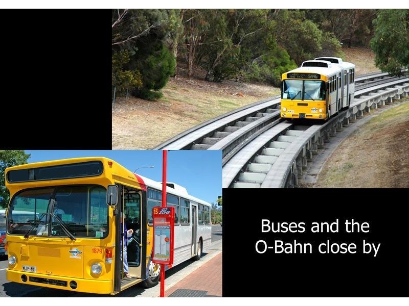 10 Brian Grove, Paradise SA 5075