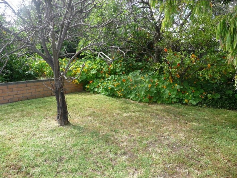 31 Dorene Street, St Marys SA 5042