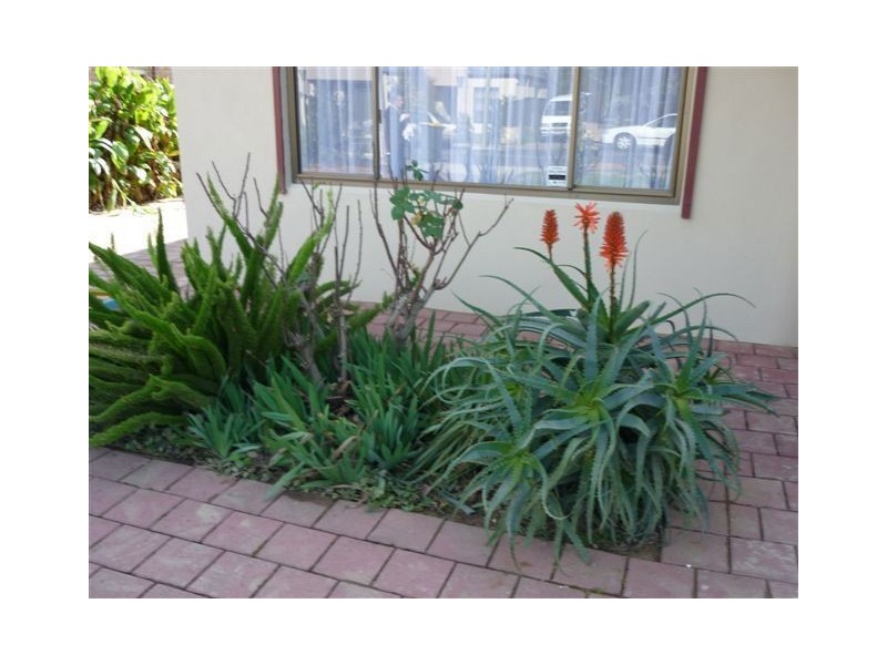 3 Nunyah Avenue, Park Holme SA 5043