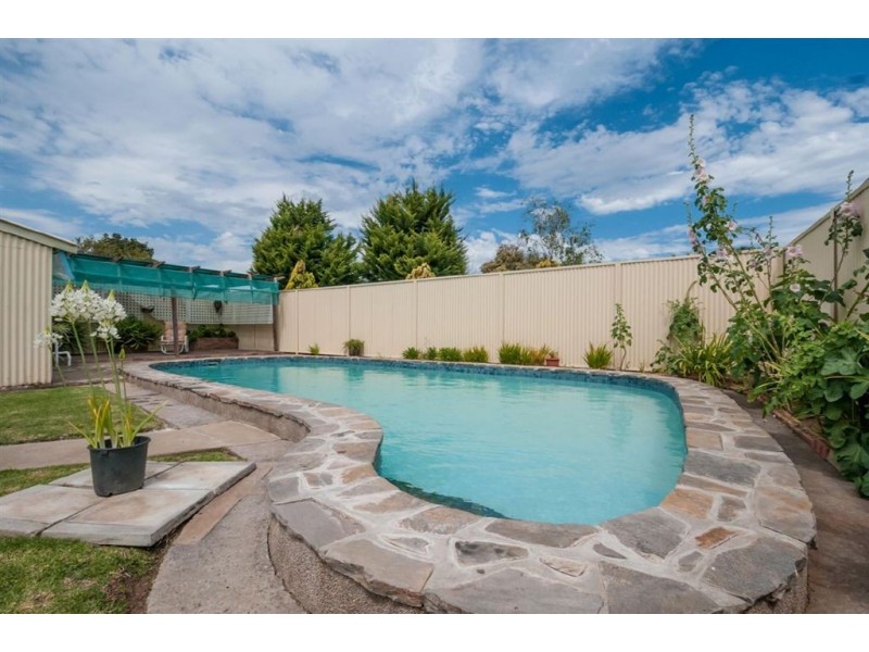 20 Aberfeldy Avenue, Edwardstown SA 5039