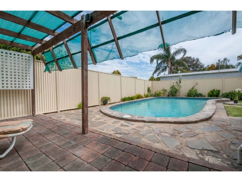 20 Aberfeldy Avenue, Edwardstown SA 5039