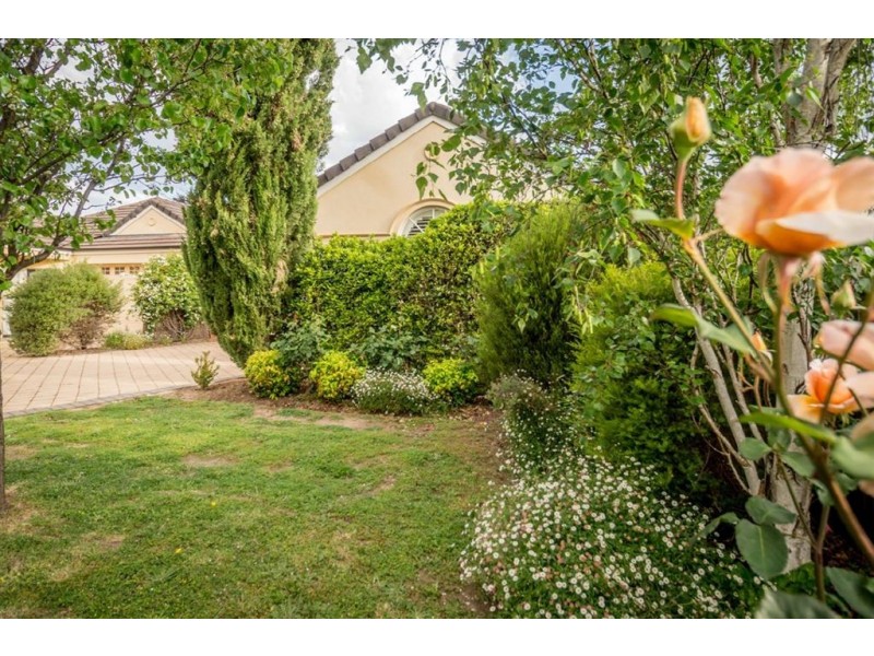 50 Princes Road, Torrens Park SA 5062