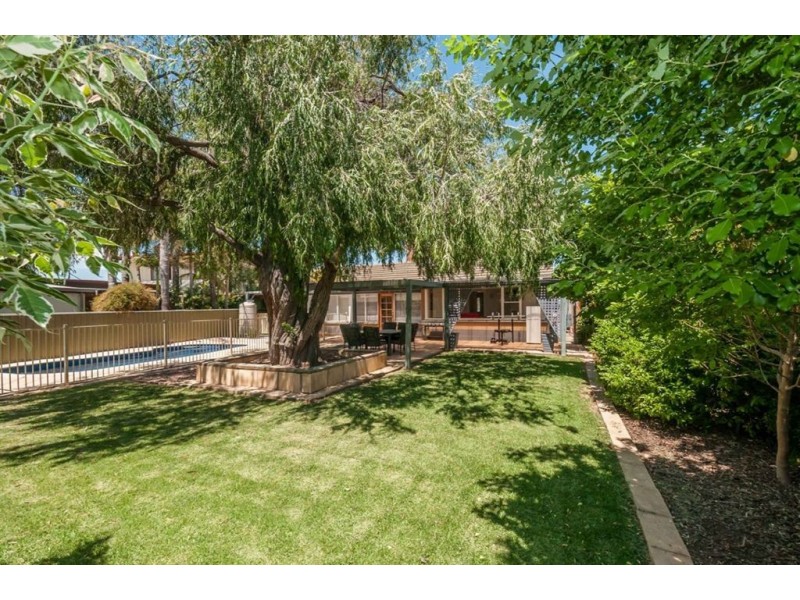 47 Cedar Avenue, Warradale SA 5046