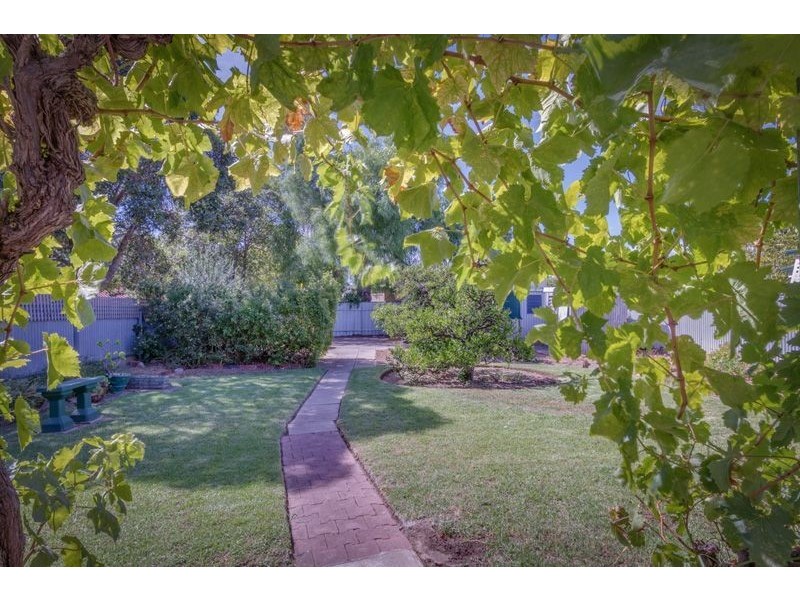 29 Frederick Street, Clarence Park SA 5034