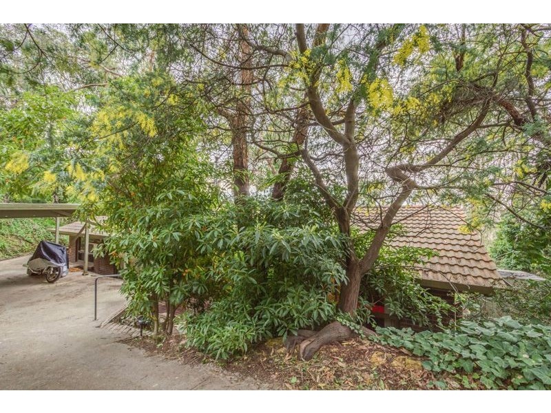 21 Wychwood Grove, Upper Sturt SA 5156