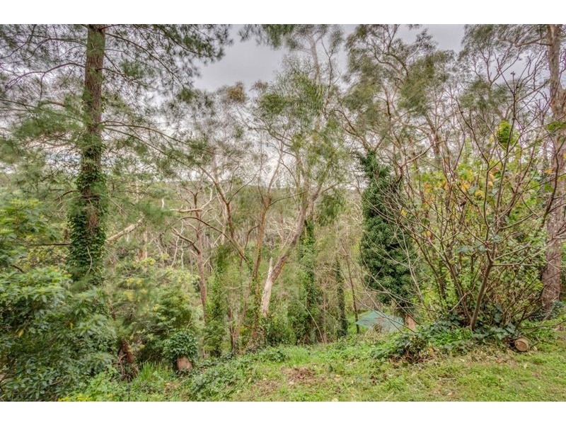 21 Wychwood Grove, Upper Sturt SA 5156