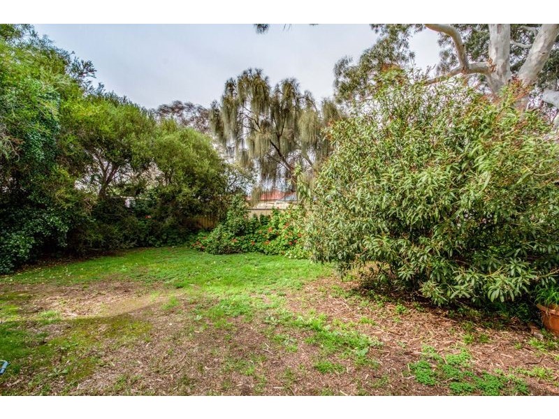 64 Norrie Avenue, Clovelly Park SA 5042