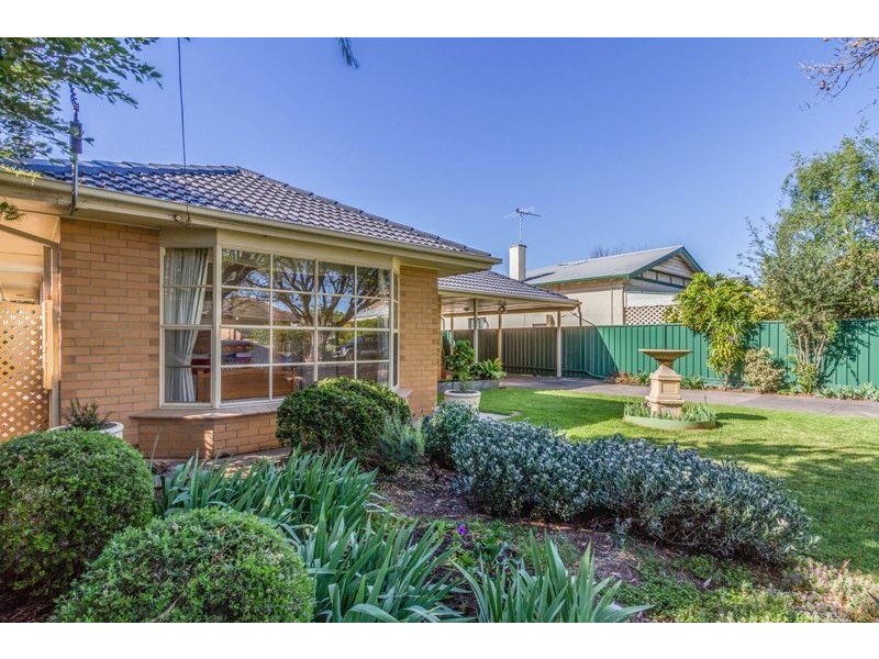6 George Street, Clarence Park SA 5034
