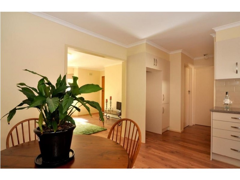 2/19 Illawarra Avenue, Hove SA 5048