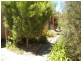 66 Murray Street, Clapham SA 5062