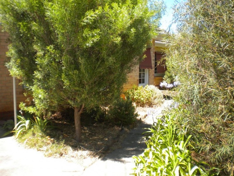 66 Murray Street, Clapham SA 5062